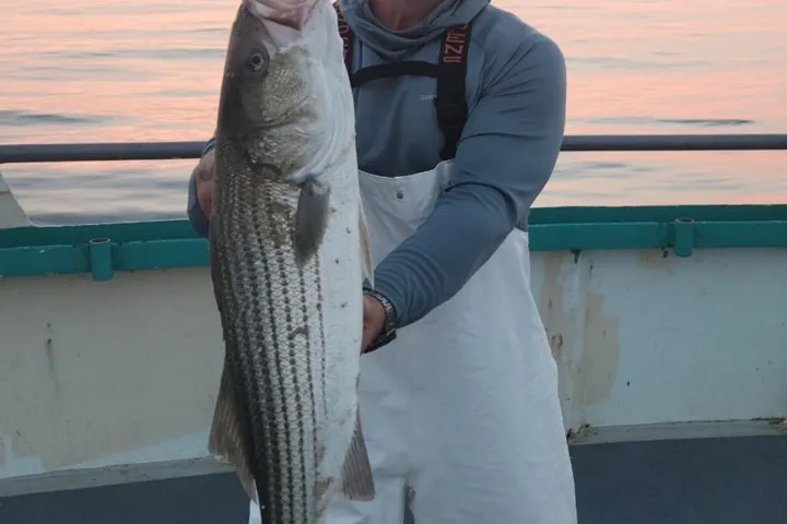 a man holding a fish in the water