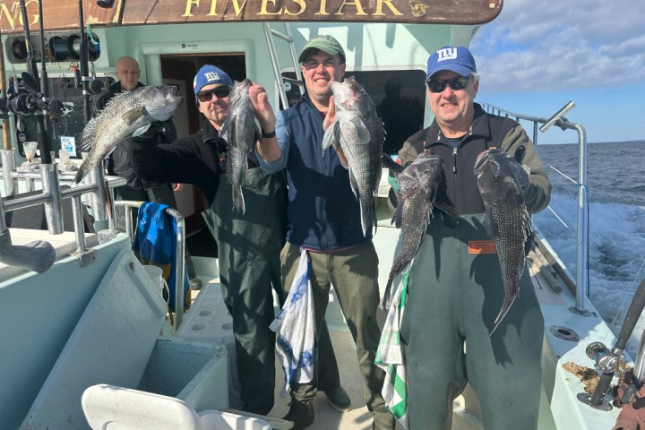 a group of people walking down a fish