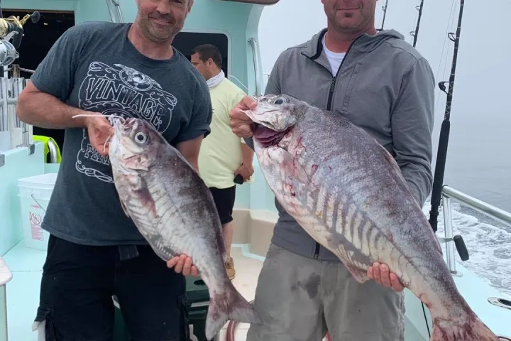 a person holding a fish