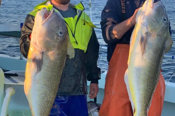 a man holding a fish in the water