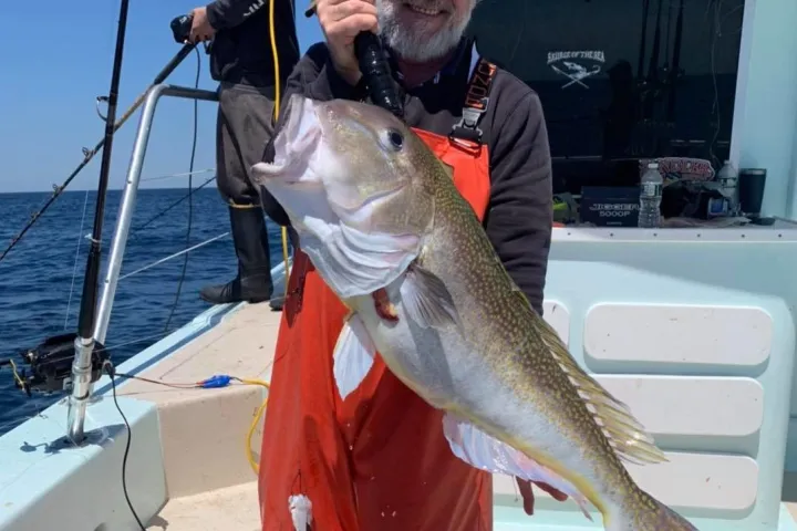 a man holding a fish