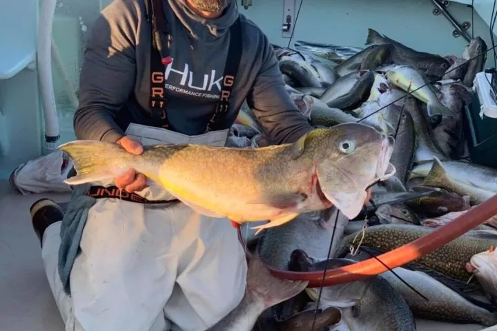 a man holding a fish on a boat
