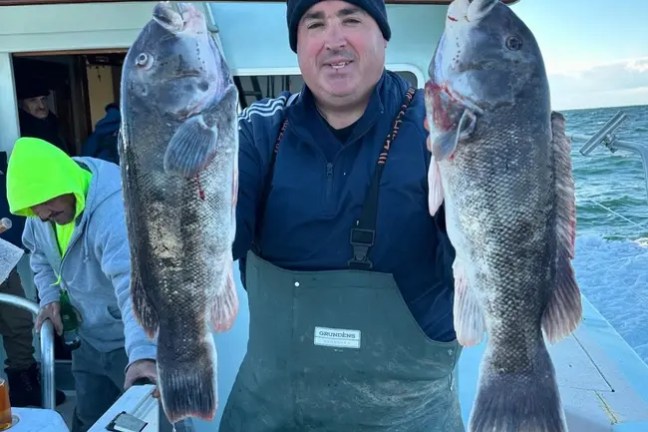 Person holding two large fish on a boat, wearing a beanie and work overalls.