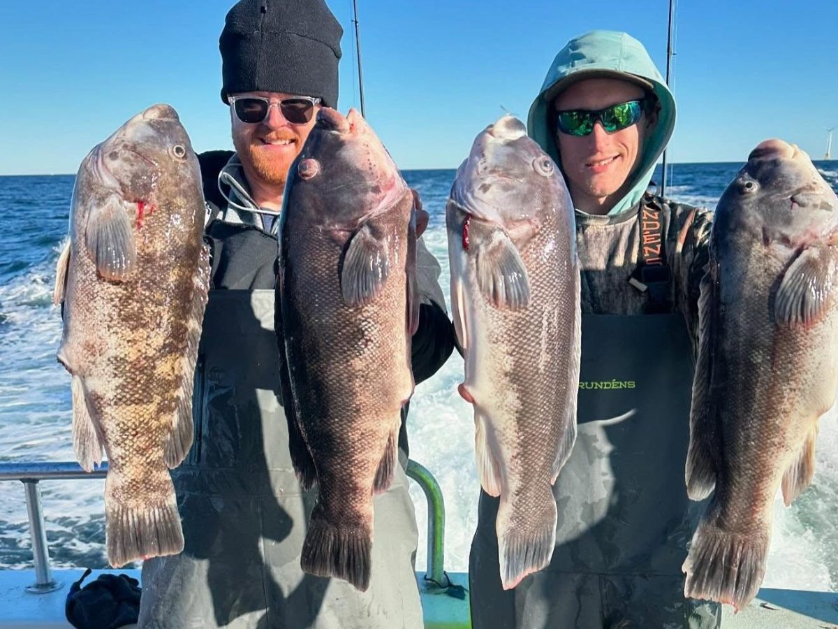 Two people on a boat holding large fish, with clear sky and sea background.