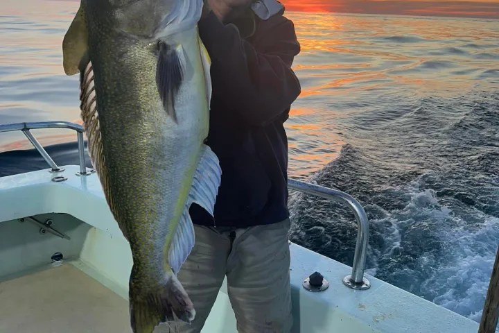 a man holding a fish in the water
