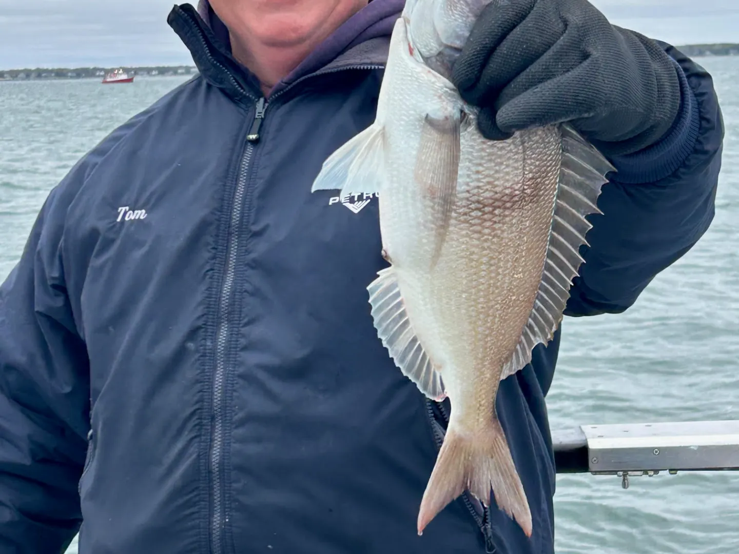 a person holding a fish in the water