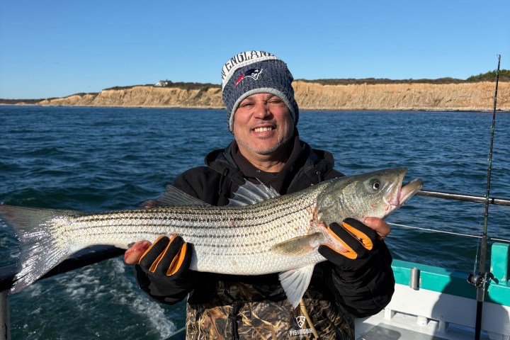 Person holding a large fish on a boat with a coastline in the background.
