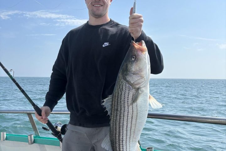 Person holding a large fish on a boat with a blue ocean background.