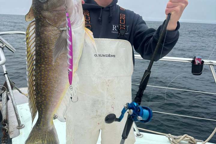 a person holding a fish