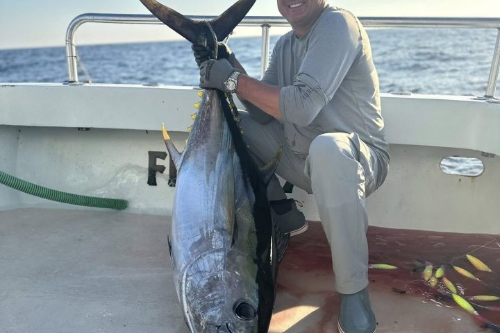 Person on a boat holding a large fish with the sea in the background.