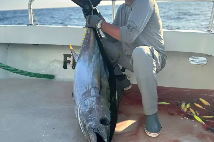 a person holding a fish in the water