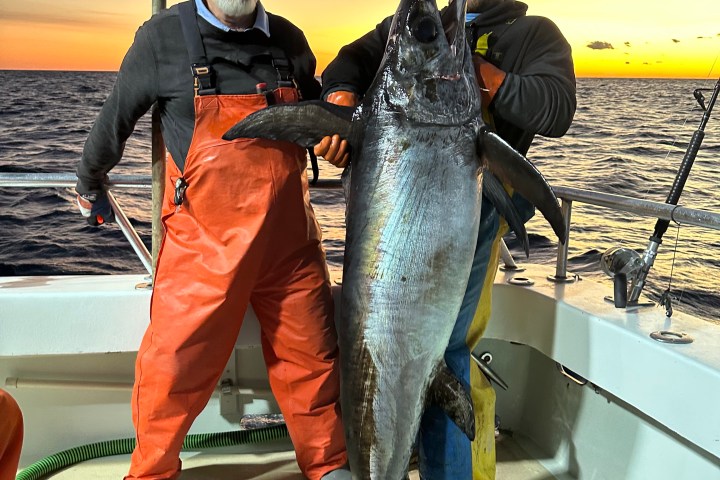 Two people on a boat holding a large swordfish at sunset.