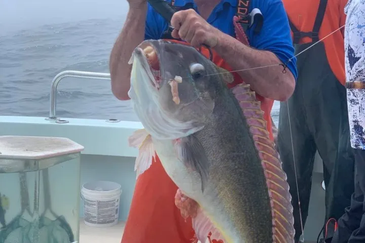 a man holding a fish
