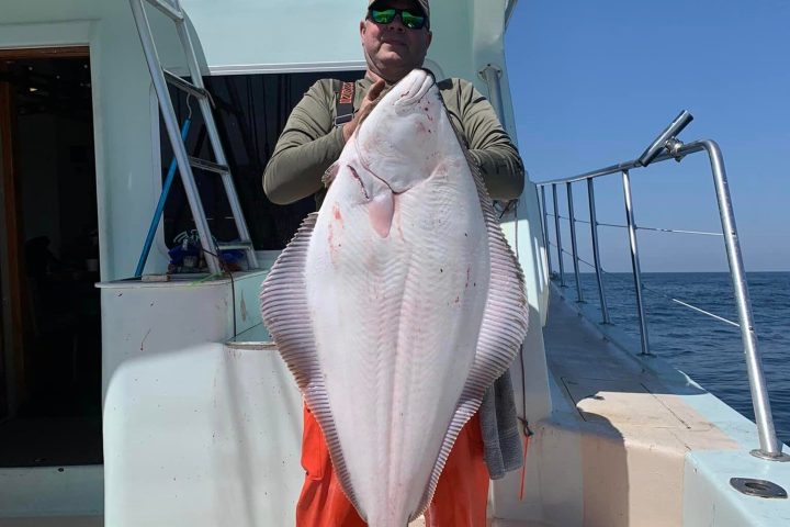 a person holding a fish