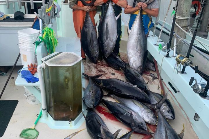 a person holding a fish