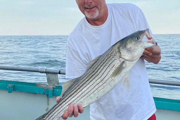 a man holding a fish in the water
