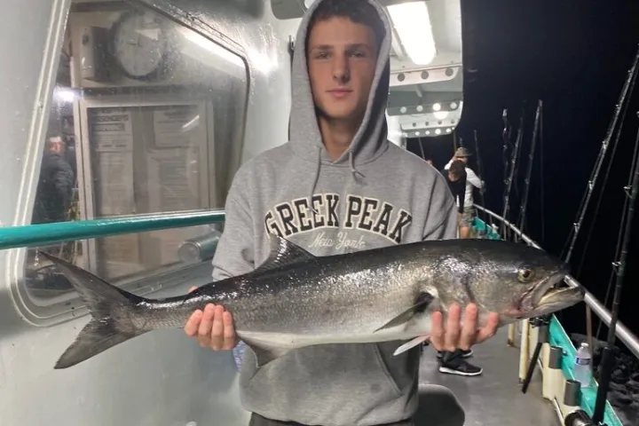 a person holding a fish