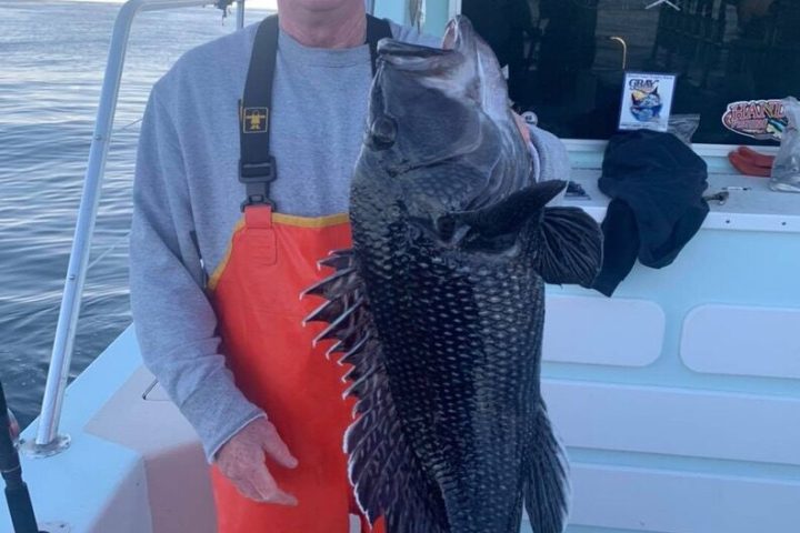 a man holding a fish
