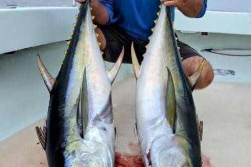 a person holding a fish