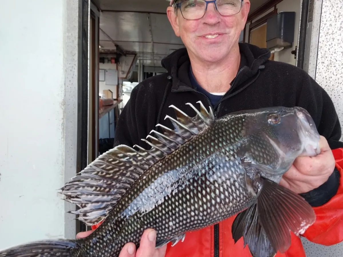 a man holding a fish