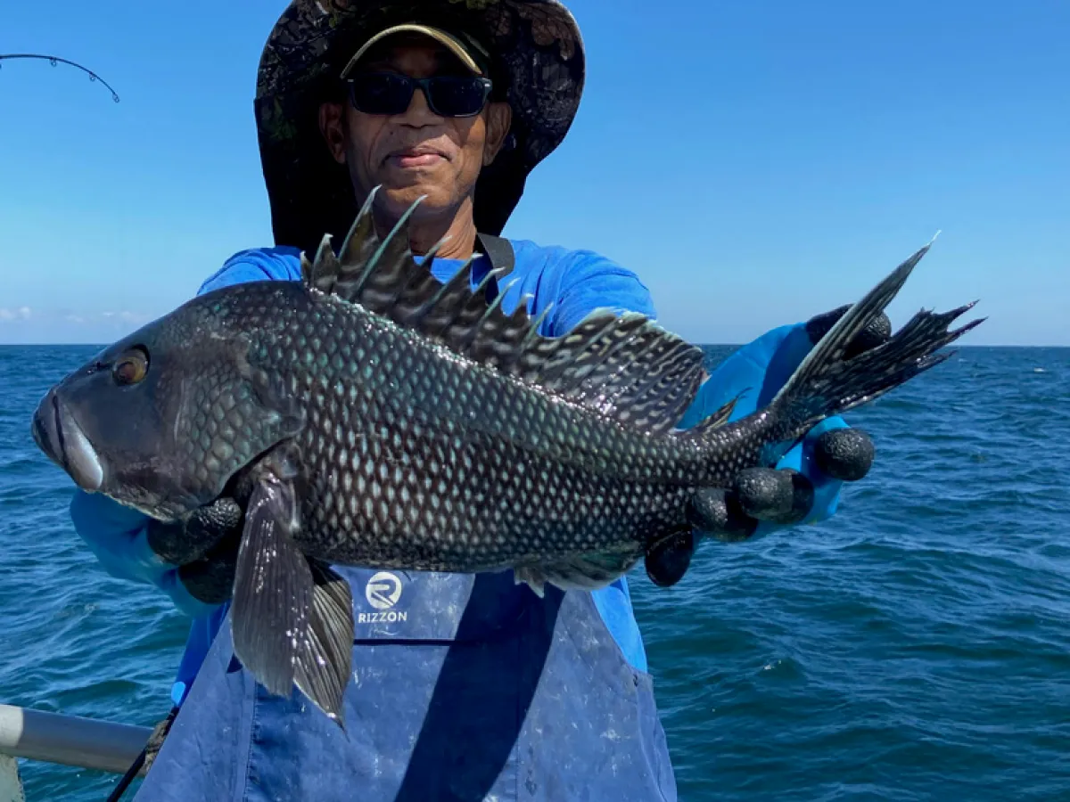 a person standing next to a body of water
