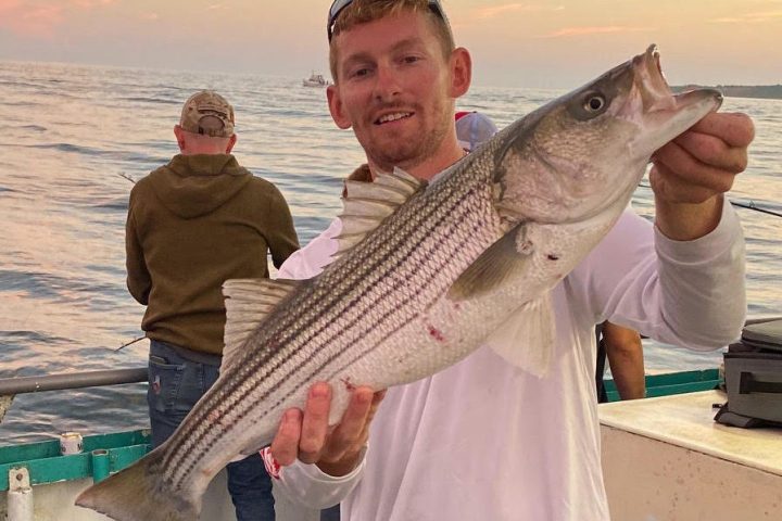 a person holding a fish in the water