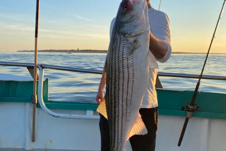 a person holding a fish in the water