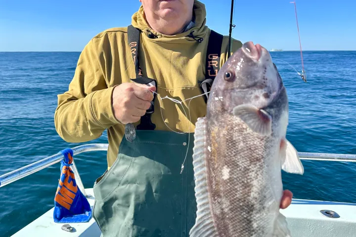 a person holding a fish in the water