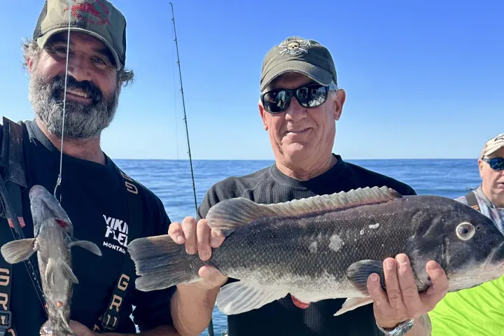 a person holding a fish