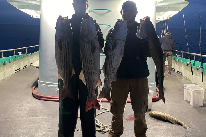 a group of people standing around a plane