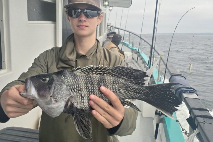 a person holding a fish