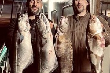 a man holding a fish