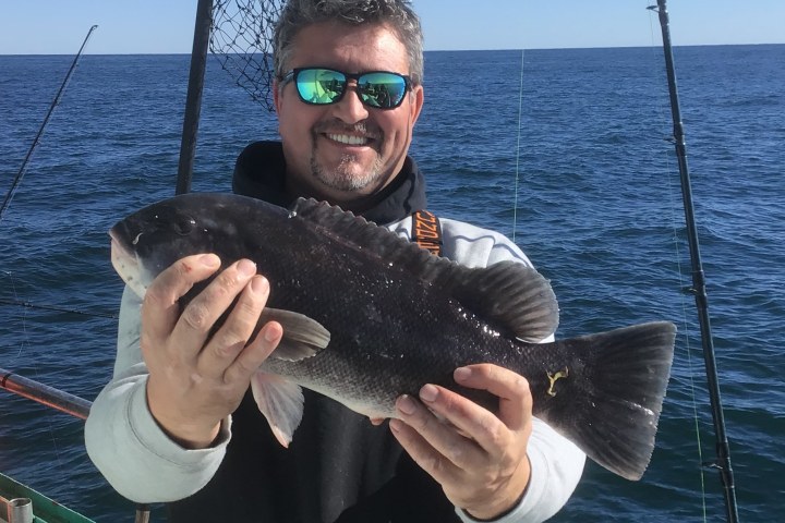 a person holding a fish on a boat in the water