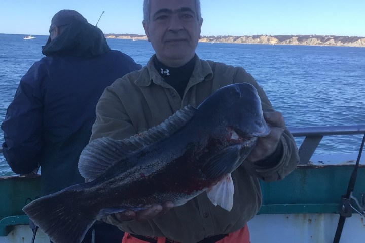 a man holding a fish on a boat in a body of water