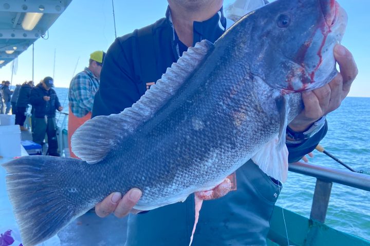 a person holding a fish