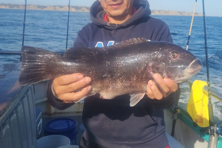 a man holding a fish on a boat in a body of water