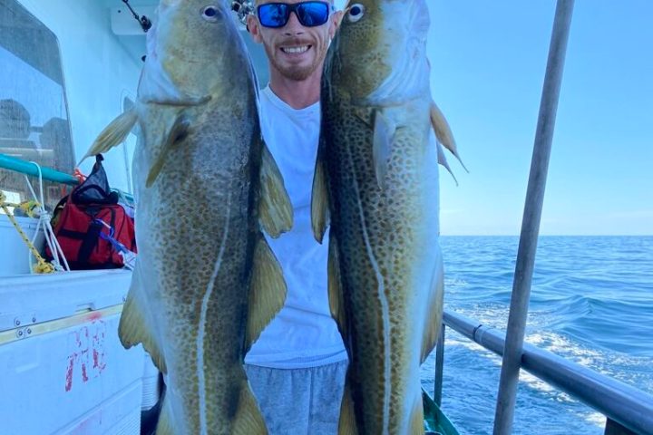 a group of fish in the water