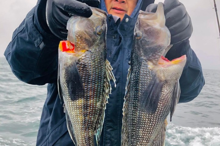 Person in hood holding two fish on a boat, cloudy sky in background.