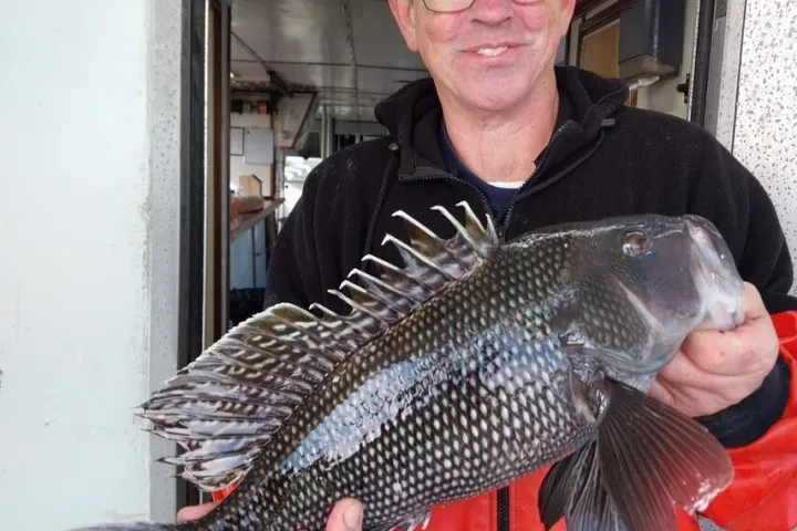 a man holding a fish