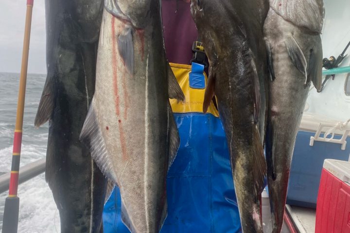 a person holding a fish