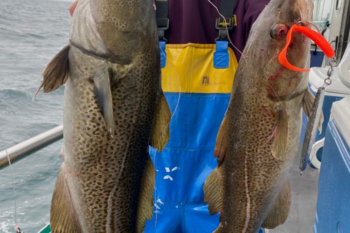 a person holding a fish