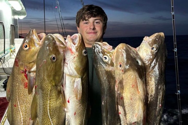 a person holding a fish