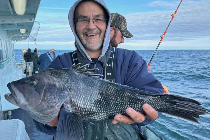 Person on boat holding a large black fish with ocean in background.