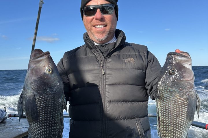 Person in black vest holding two large fish on a boat with ocean background.
