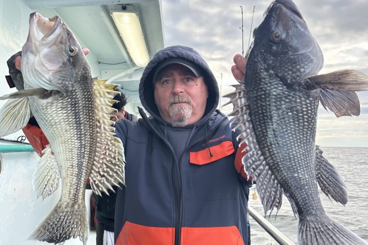 Person on a boat holding two large fish, wearing an orange and black jacket.
