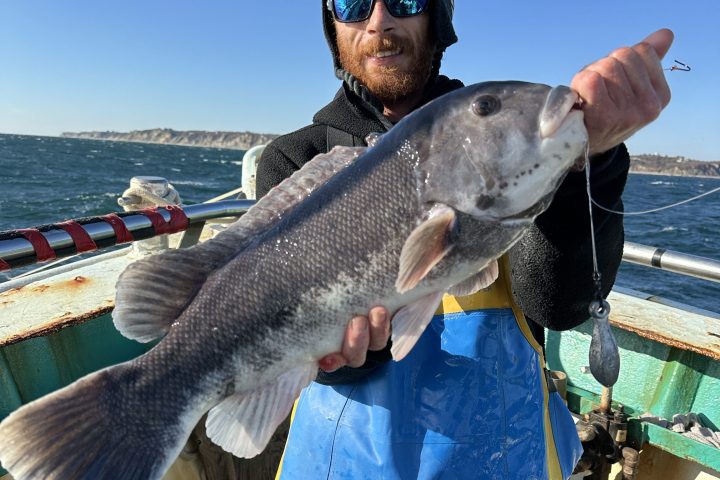Person holding a large fish on a boat, wearing sunglasses and fishing gear.