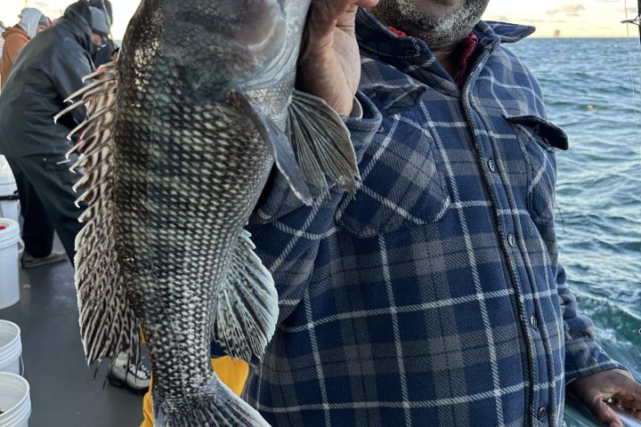 Man in plaid shirt holding a large fish on a boat, with water and blue sky in background.