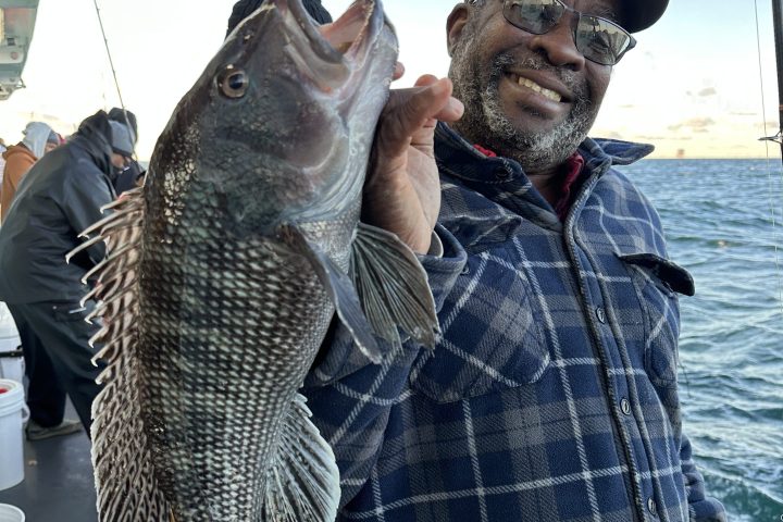 Man in plaid shirt holding a large fish on a boat, with water and blue sky in background.