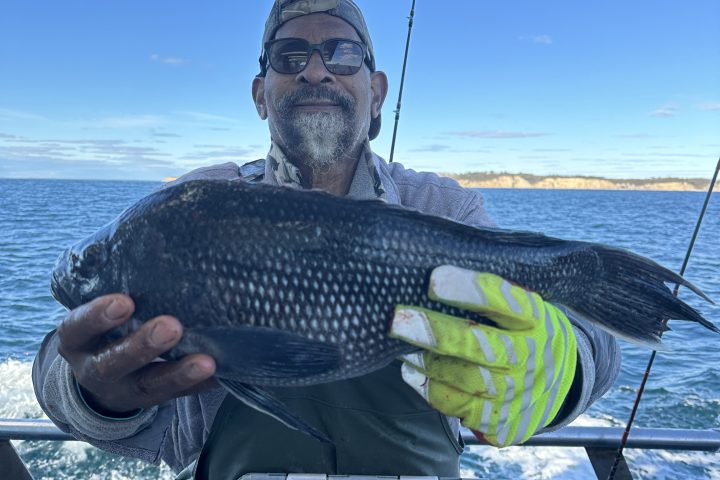 Person on boat holding a large fish with blue ocean in the background.