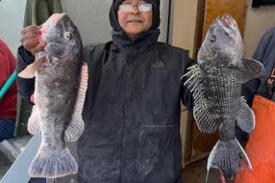 Person holding two large fish on a boat wearing a black jacket and beanie.
